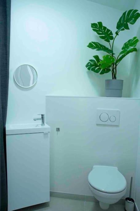 Appartement 5Min Aeroport Cdg Le Mesnil-Amelot Esterno foto